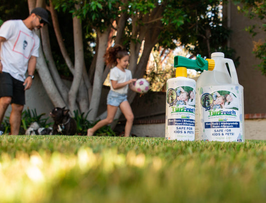 A Beginner’s Guide to TurFresh’s Artificial Grass Cleaners