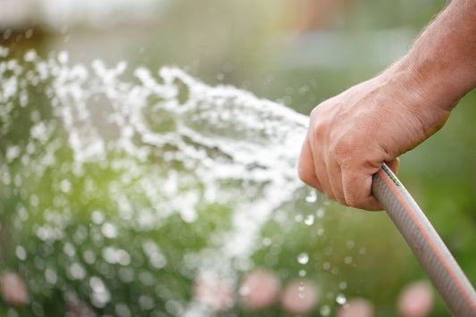 Why Water Isn’t Enough to Disinfect Your Artificial Turf