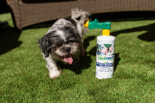 The Ultimate Guide To Choosing the Right Synthetic Grass Disinfectant for Your Pet