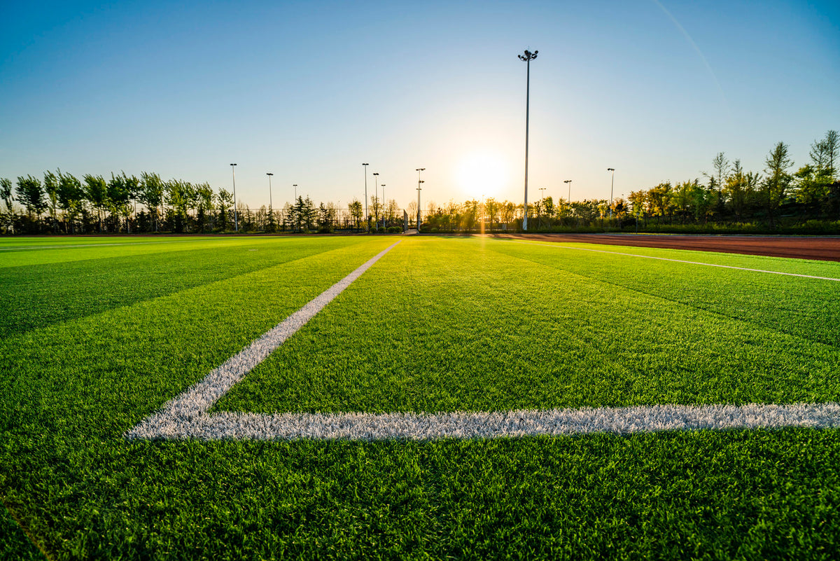 Sports field artificial turf