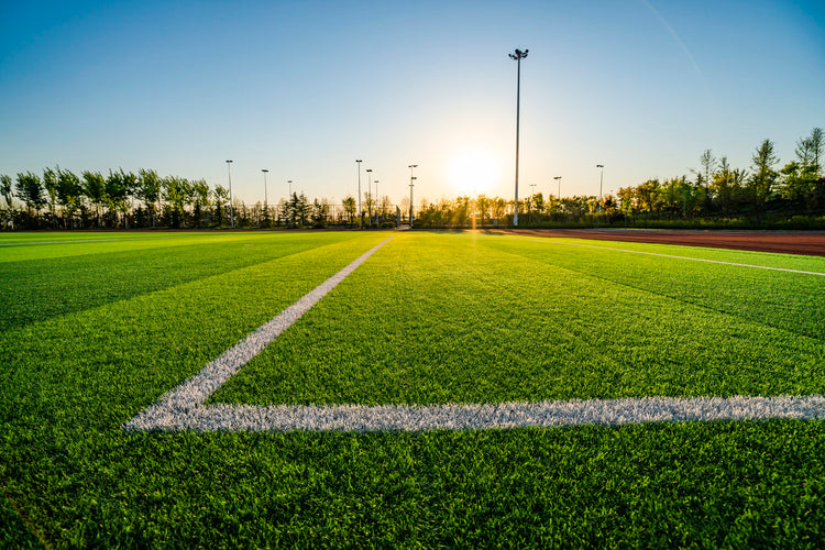 Sports field artificial turf