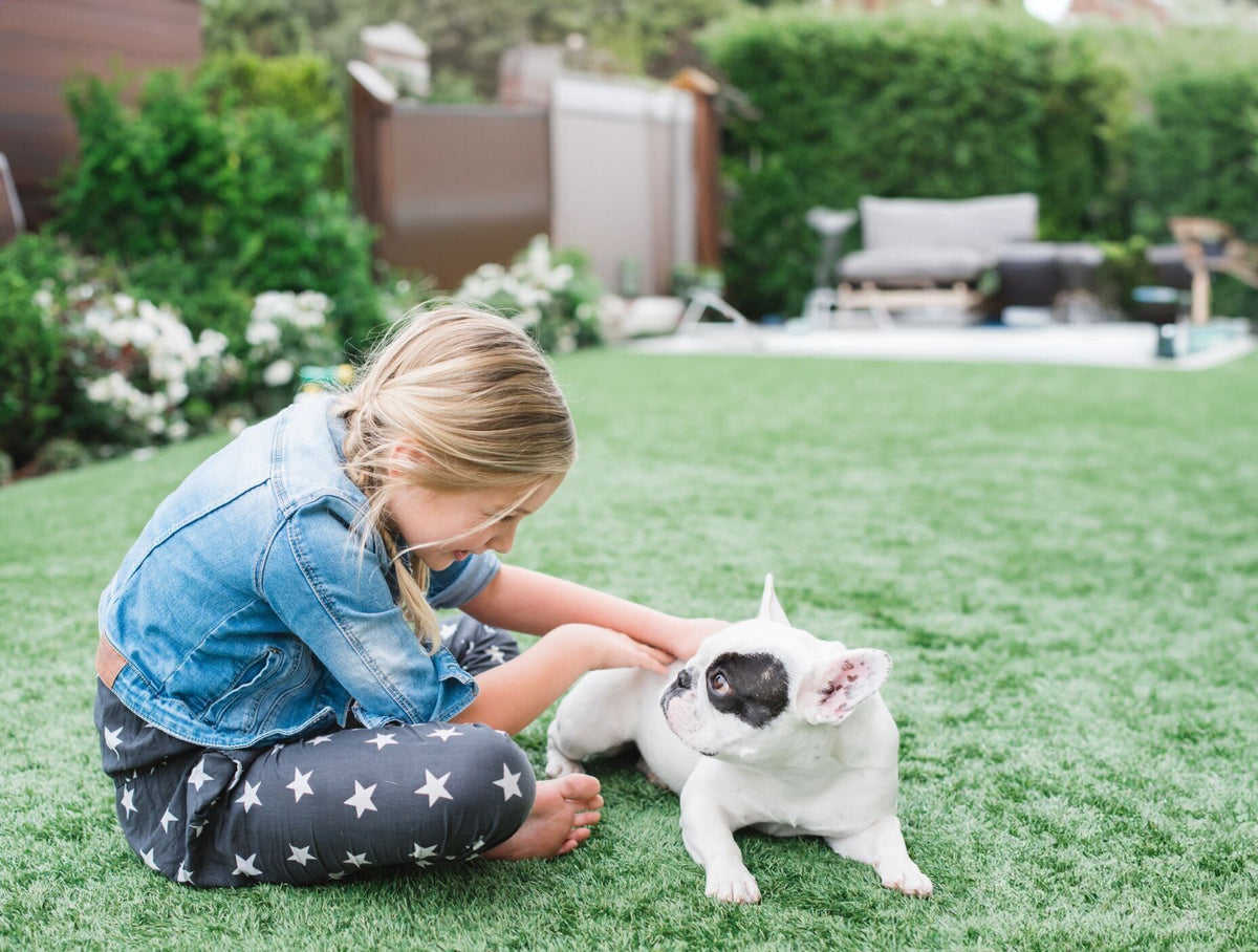 Girl and dog on clean outdoor artificial turf