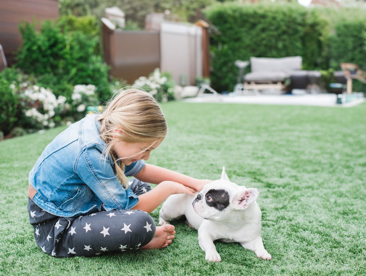 Girl and dog on clean outdoor artificial turf