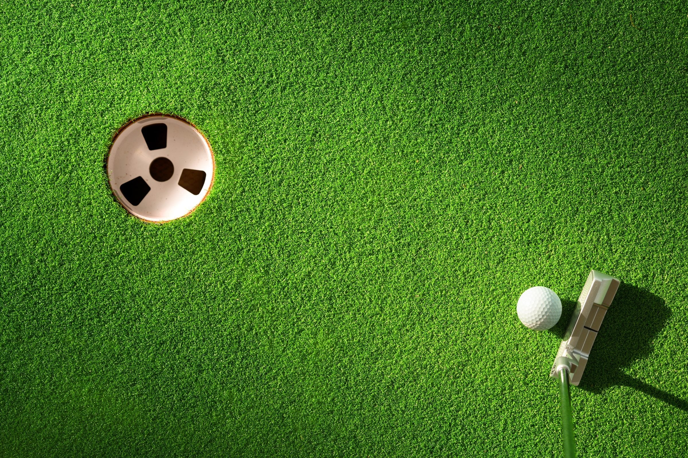 TurFore indoor putting green cleaner, backyard putting green